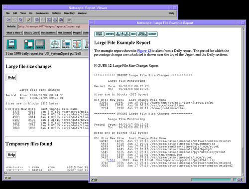 Netscape Viewer Image 5